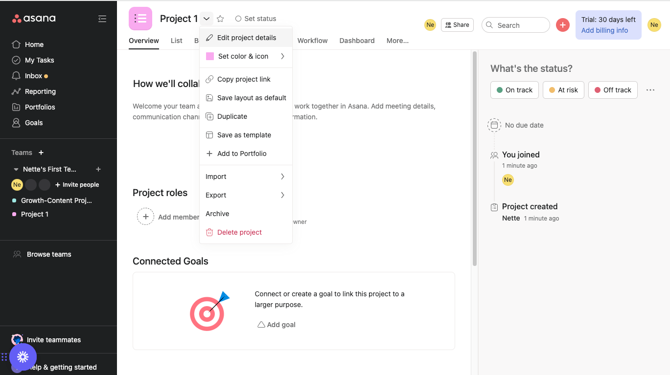 setting up a new project using asana project management software