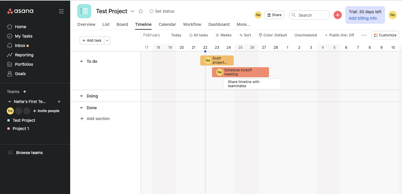 project timeline using asana project management software