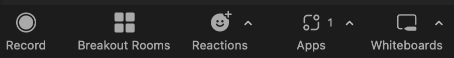 Zoom icons: record, breakout rooms, reactions, apps, whiteboards